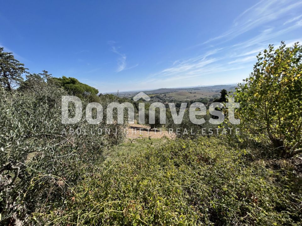 Villa i Capalbio, Grosseto - foto 3