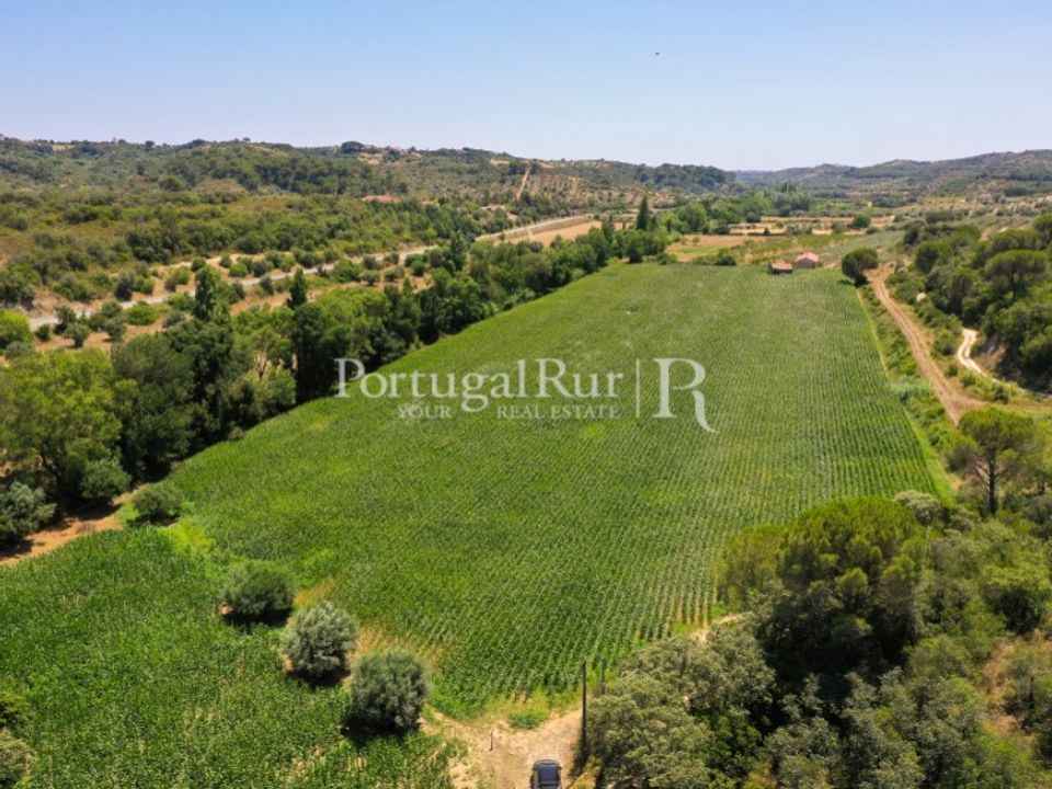Helårsgrund i Torres Novas, Santarem - foto 2
