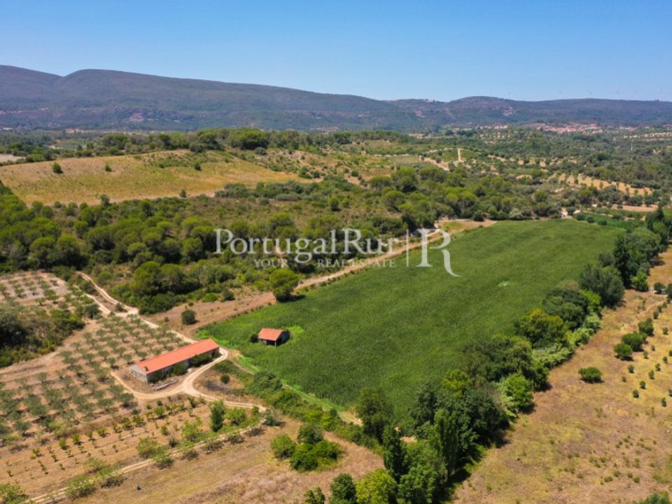 Helårsgrund i Torres Novas, Santarem - foto 3