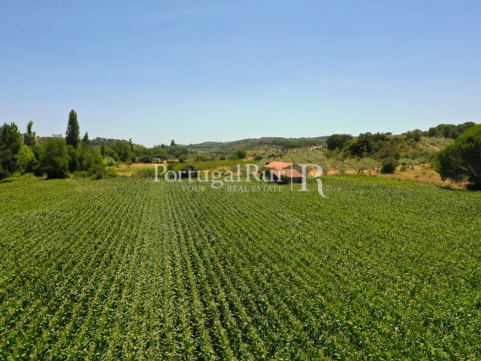 Helårsgrund i Torres Novas, Santarem - foto 4