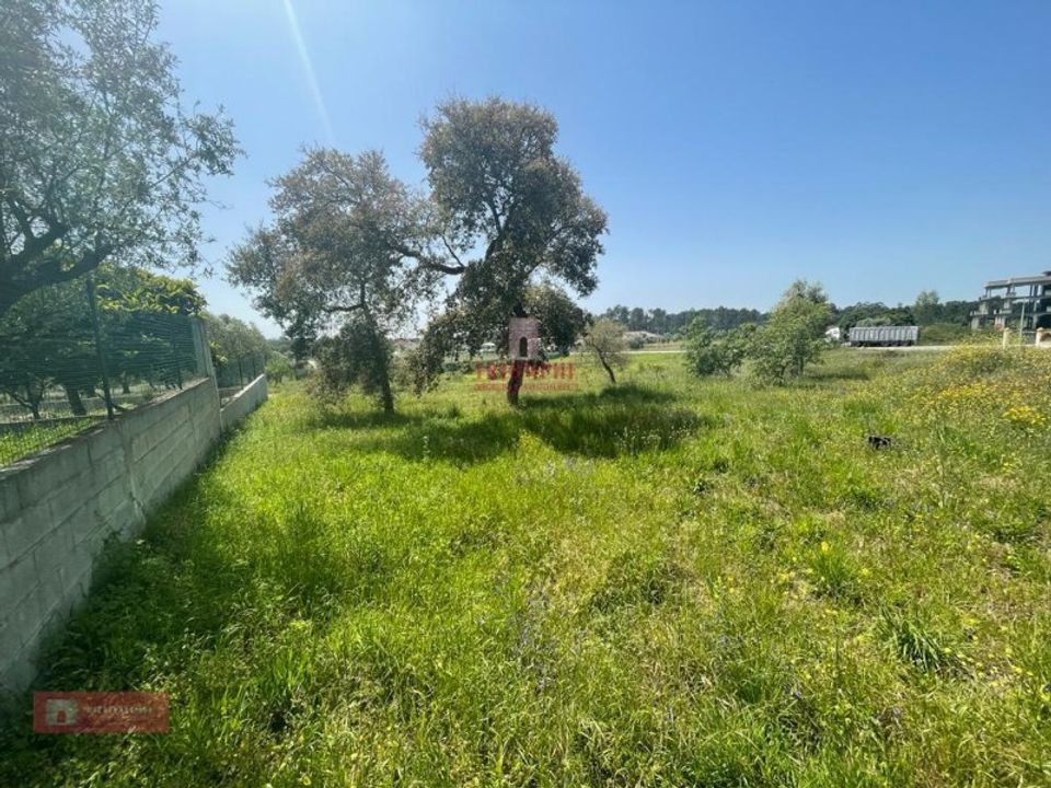 Helårsgrund i Pombal, Leiria - foto 1