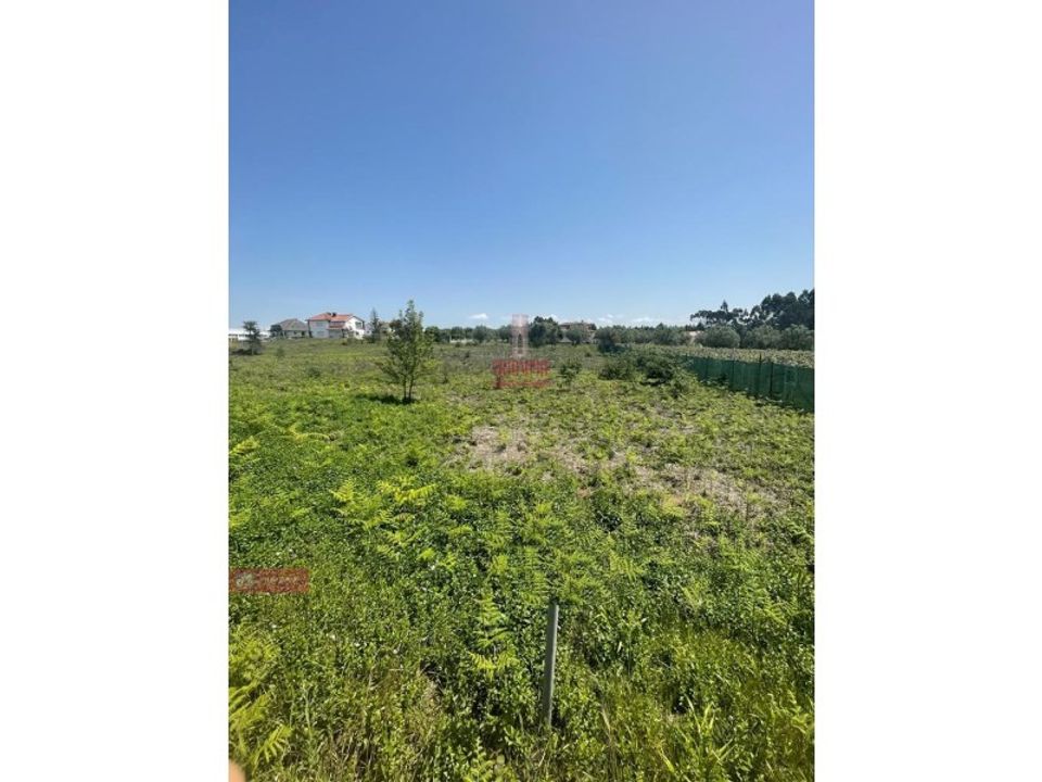 Helårsgrund i Pombal, Leiria - foto 3
