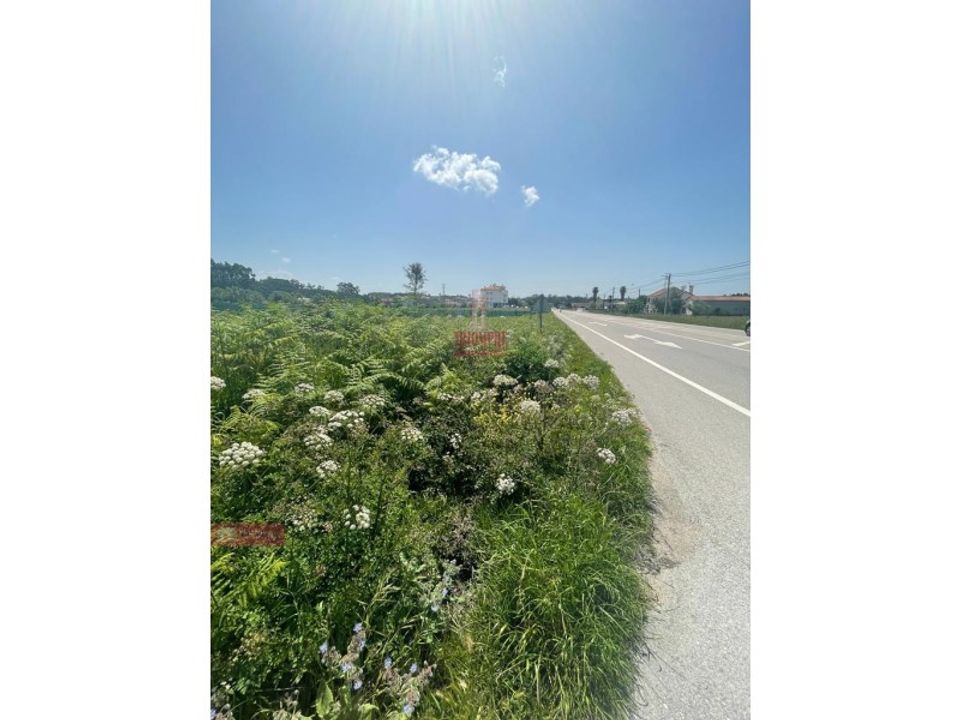 Helårsgrund i Pombal, Leiria - foto 5