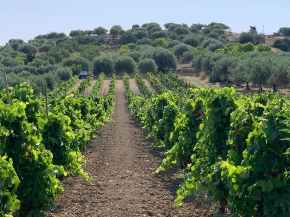Helårsgrund i Noto, Siracusa - foto 1