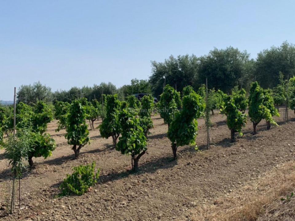 Helårsgrund i Noto, Siracusa - foto 2