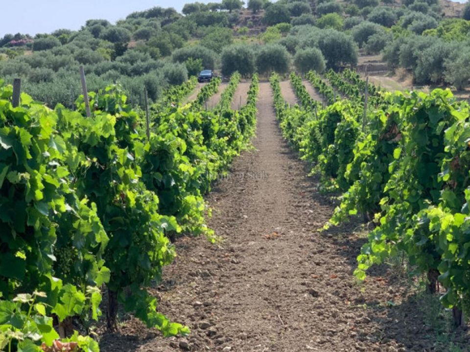 Helårsgrund i Noto, Siracusa - foto 3