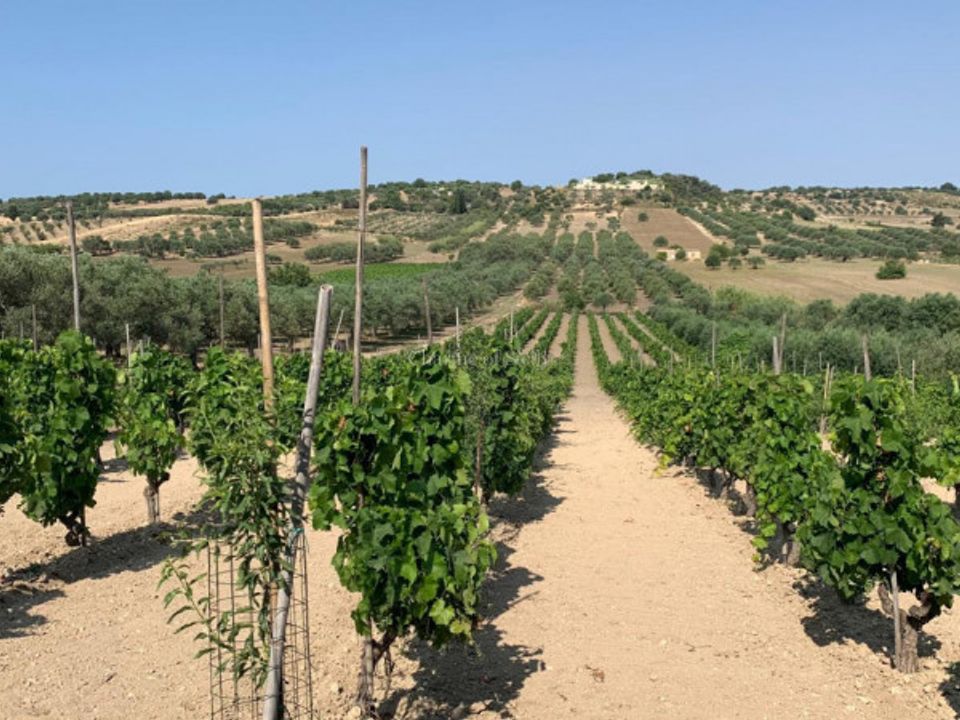 Helårsgrund i Noto, Siracusa - foto 4