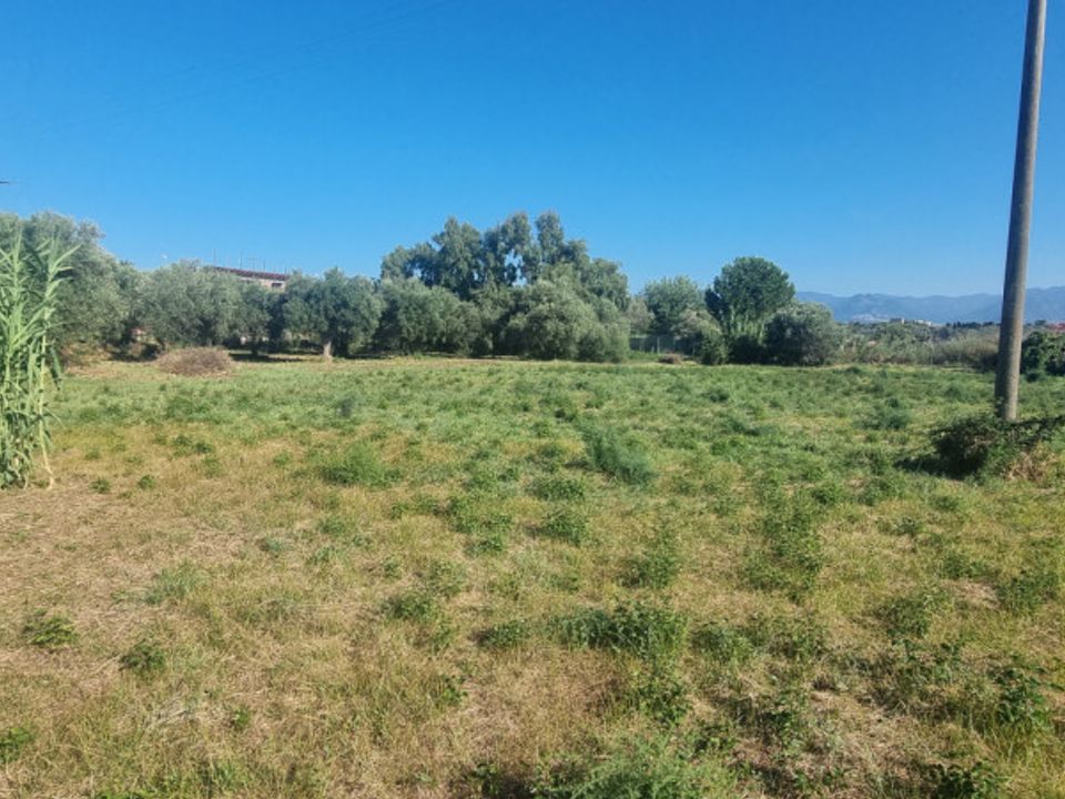Helårsgrund i Milazzo, Messina - foto 4