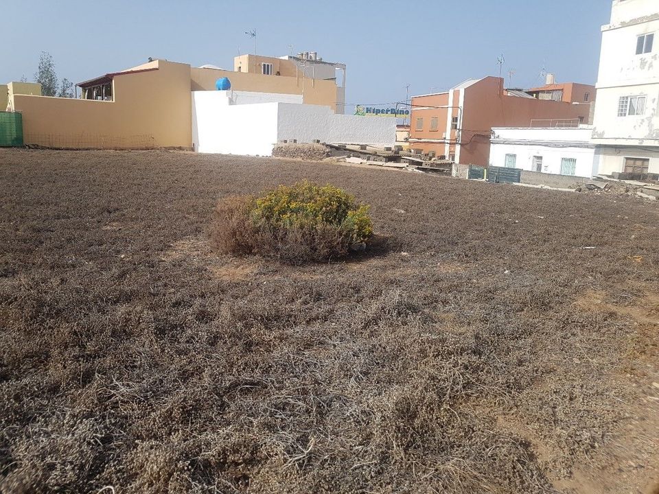 Terra a Telde, Gran Canaria - foto 1