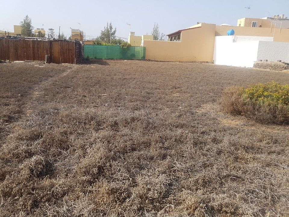 Terra a Telde, Gran Canaria - foto 2