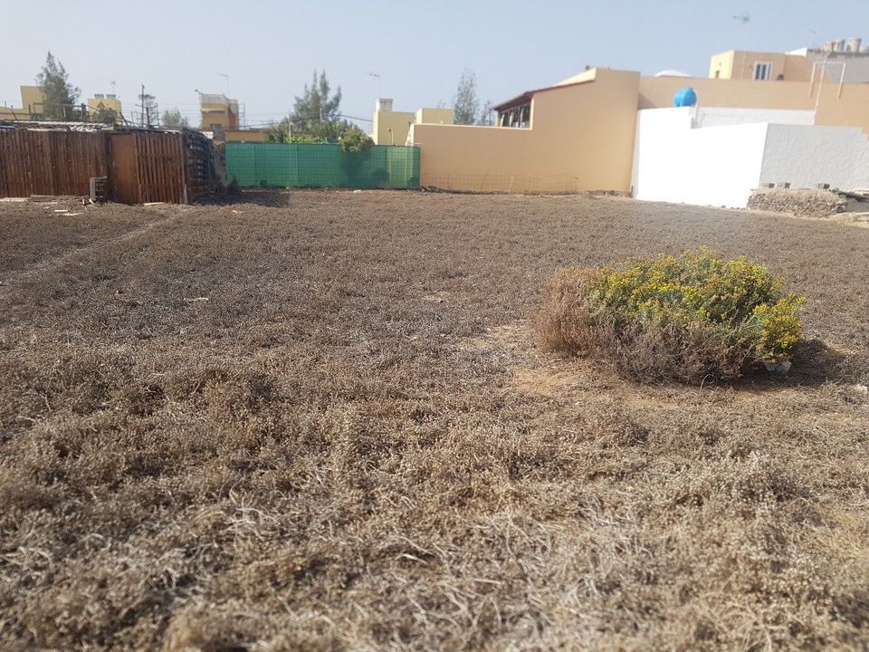 Terra a Telde, Gran Canaria - foto 3