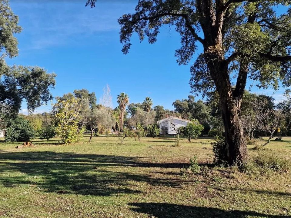 Villa i Prunelli-di-Fiumorbo, Haute-Corse - foto 3