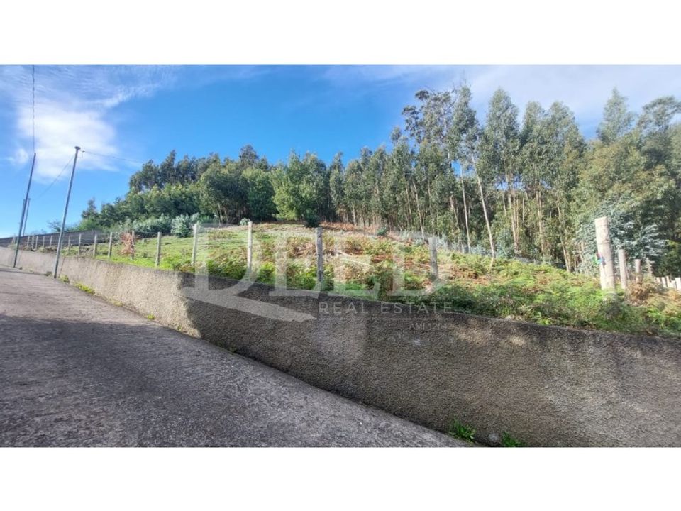 Helårsgrund i Camacha, Madeira - foto 1