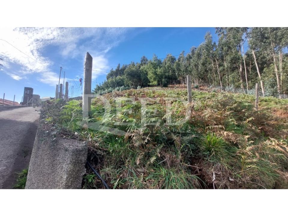 Helårsgrund i Camacha, Madeira - foto 2