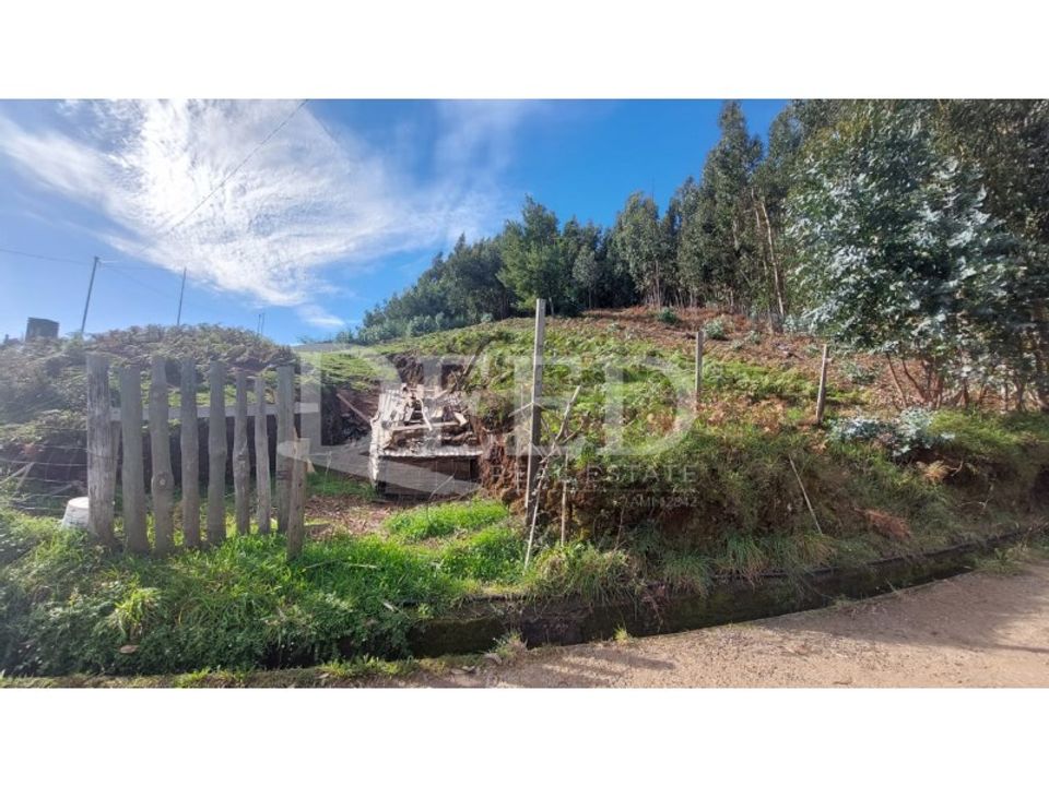 Helårsgrund i Camacha, Madeira - foto 4