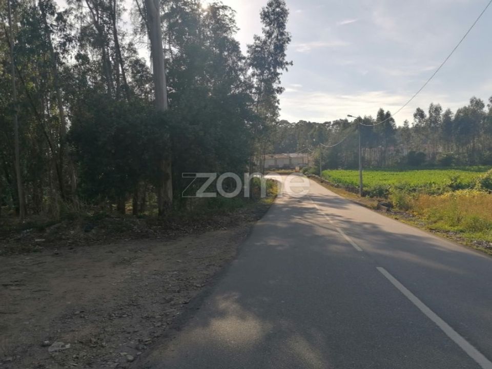Helårsgrund i Braga, Braga - foto 2