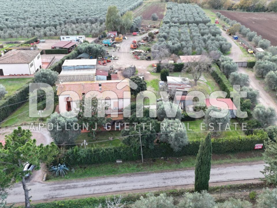 Landejendom i Capalbio, Grosseto - foto 2