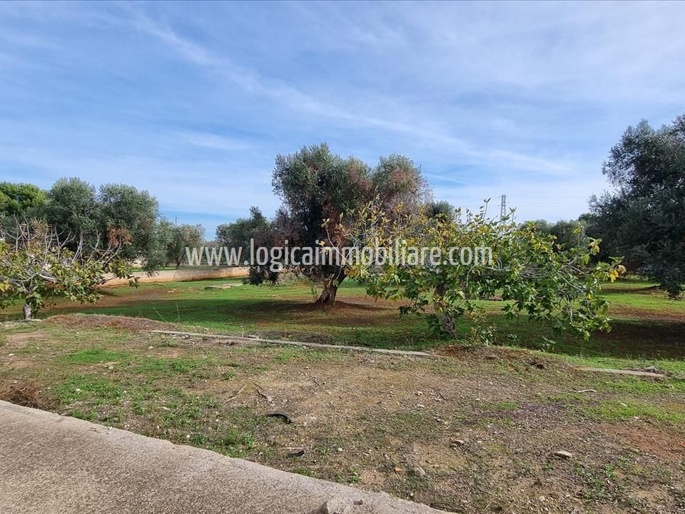 Villa i Carovigno, Brindisi - foto 3