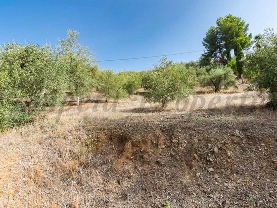 Helårsgrund i Canillas De Albaida, Malaga - foto 3