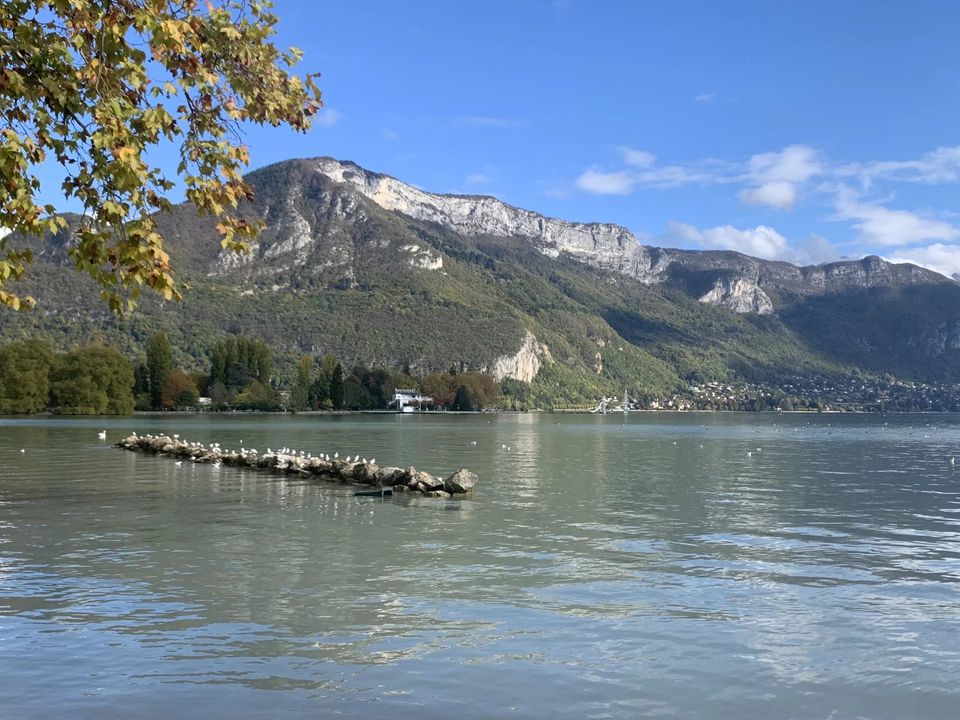 Villa i Sevrier, Haute-Savoie - foto 5