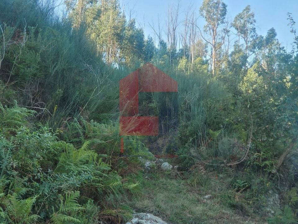 Helårsgrund i Vila Verde, Braga - foto 3
