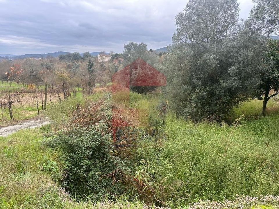 Helårsgrund i Vila Verde, Braga - foto 2