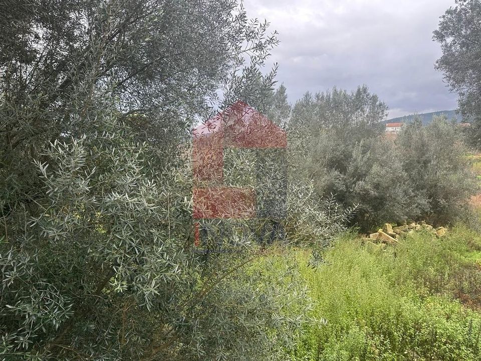 Helårsgrund i Vila Verde, Braga - foto 3
