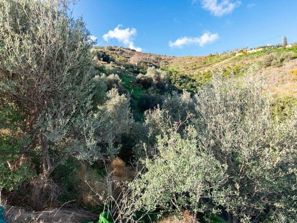 Helårsgrund i Torrox, Malaga - foto 2