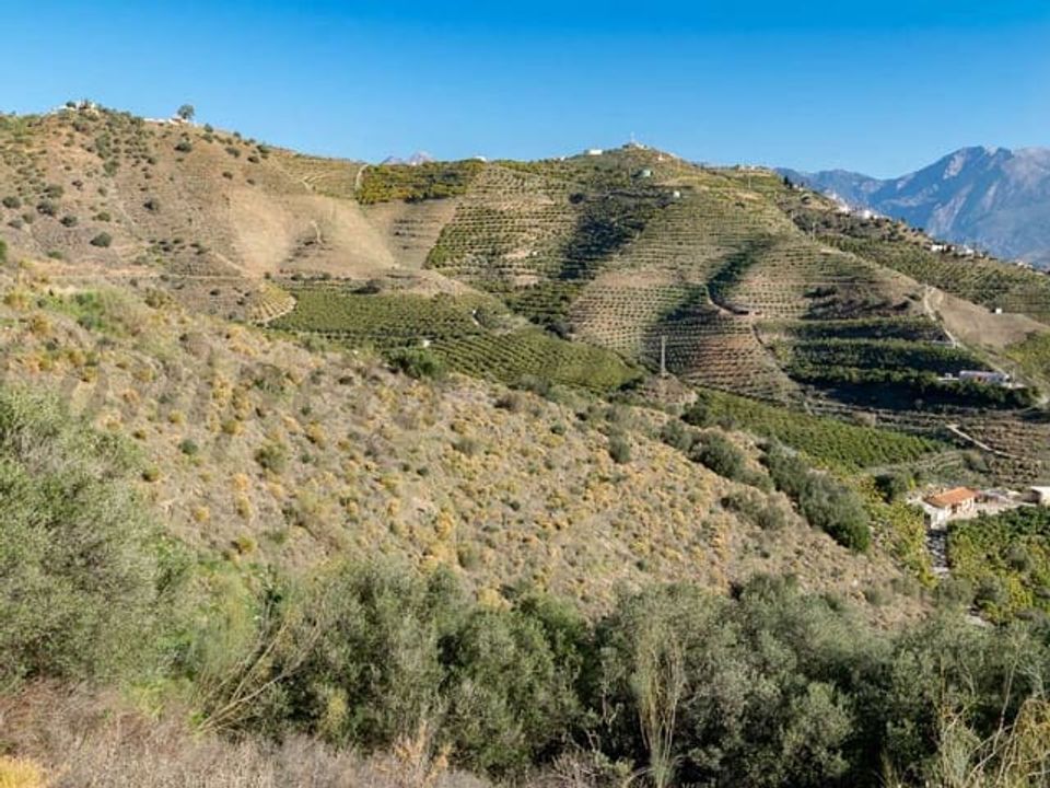 Helårsgrund i Torrox, Malaga - foto 2