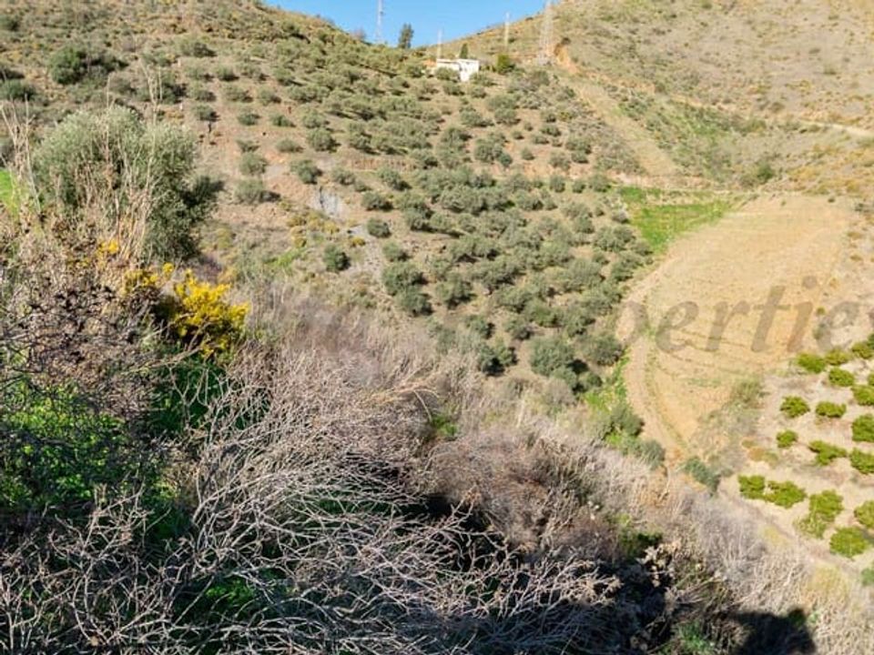 Helårsgrund i Torrox, Malaga - foto 4