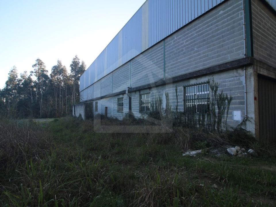 Erhvervsejendom i Sever do Vouga, Aveiro - foto 2