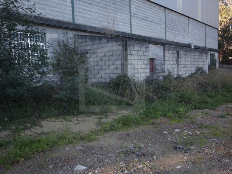 Erhvervsejendom i Sever do Vouga, Aveiro - foto 3
