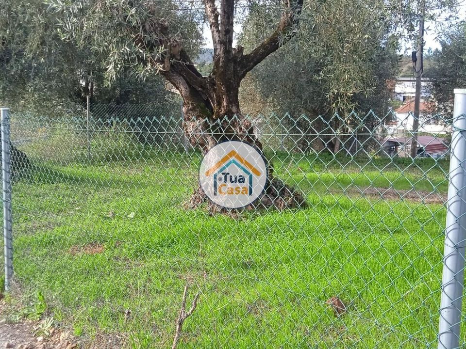 Helårsgrund i Coimbra, Coimbra - foto 3