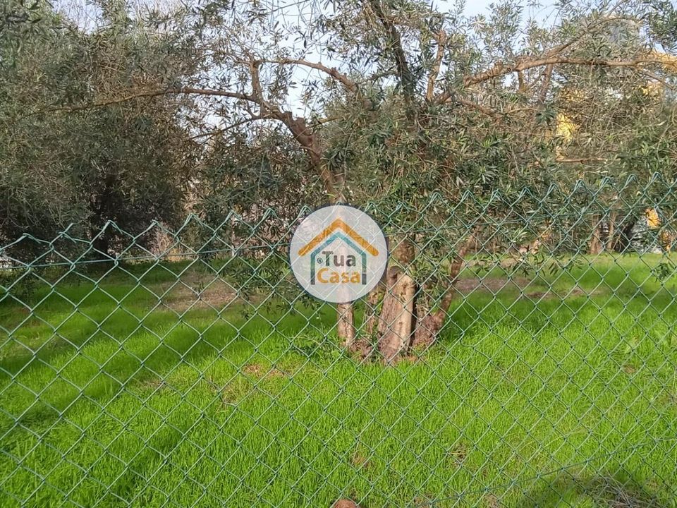 Helårsgrund i Coimbra, Coimbra - foto 4