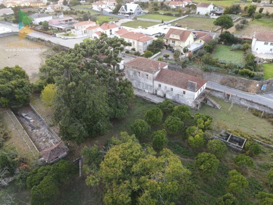 Farm i Viana do Castelo, Viana do Castelo - foto 5