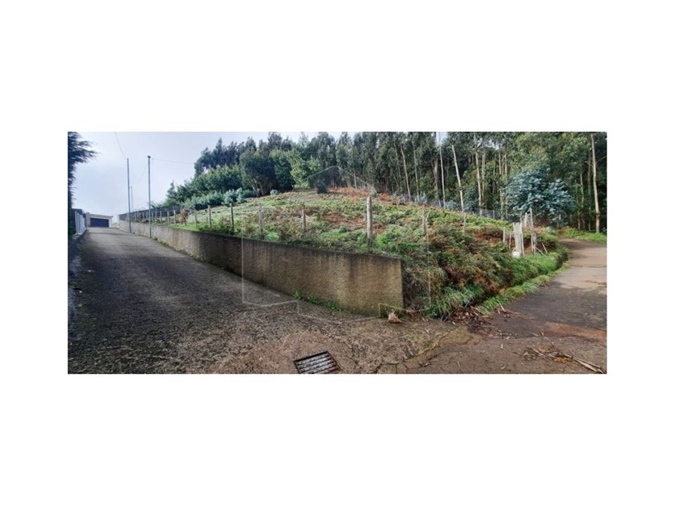 Tomt i Camacha, Madeira - bilde 2