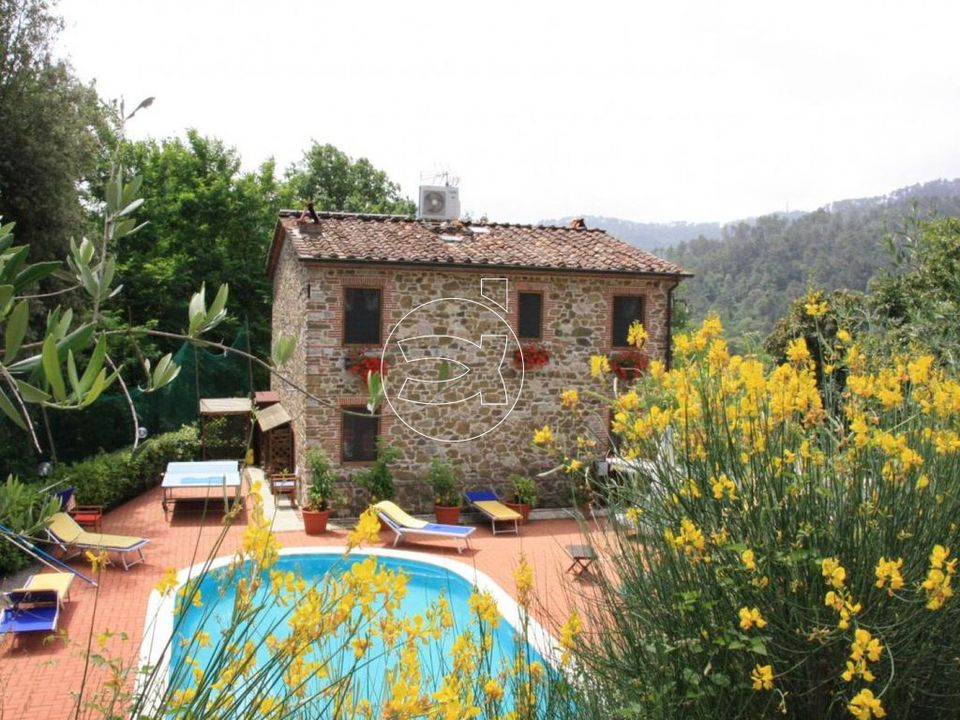 Villa i Camaiore, Lucca - foto 1