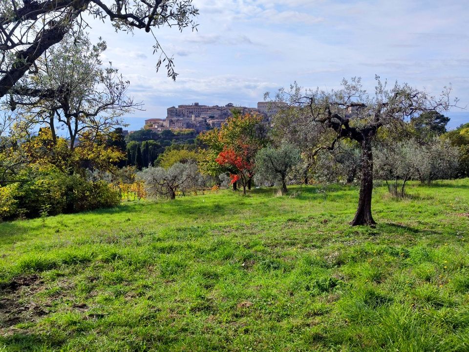 Helårsgrund i Lugnano in Teverina, Terni - foto 1