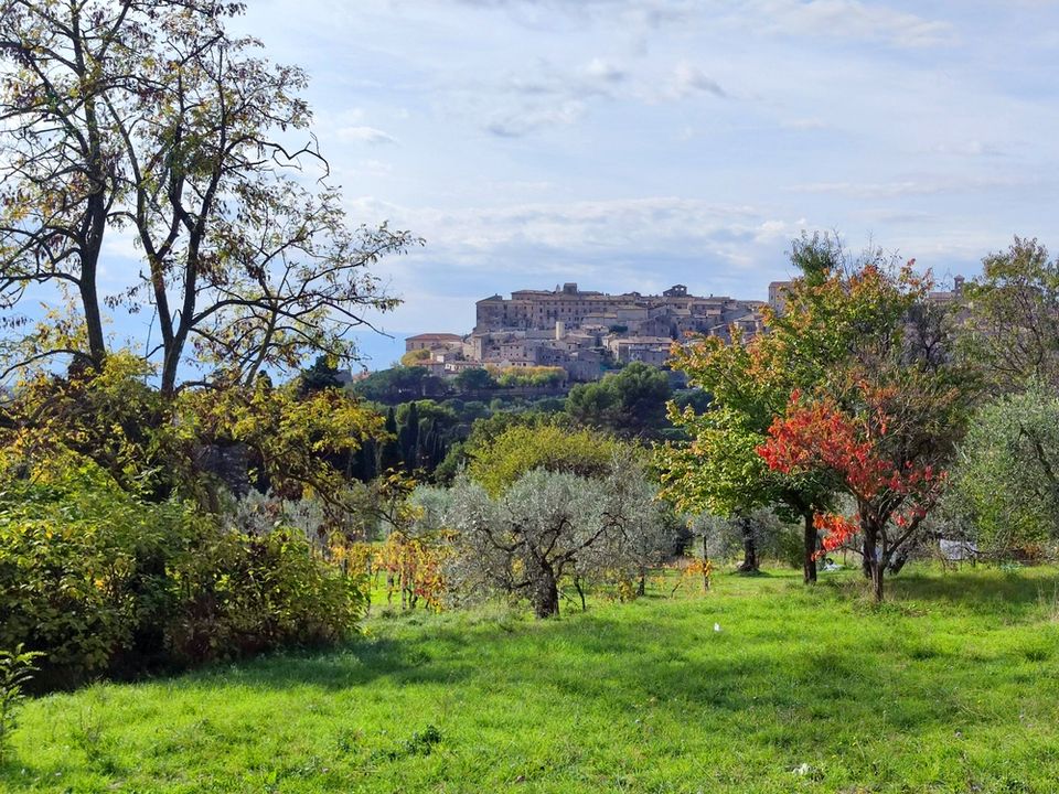 Helårsgrund i Lugnano in Teverina, Terni - foto 2