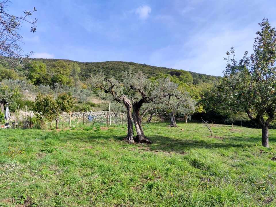Helårsgrund i Lugnano in Teverina, Terni - foto 3