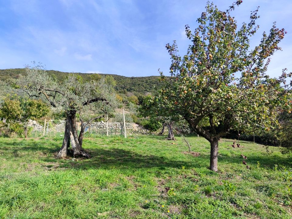 Helårsgrund i Lugnano in Teverina, Terni - foto 4