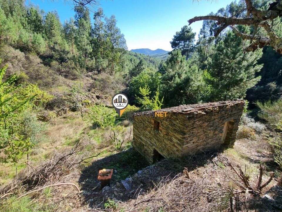 Tomt i Oleiros, Castelo Branco - bilde 2