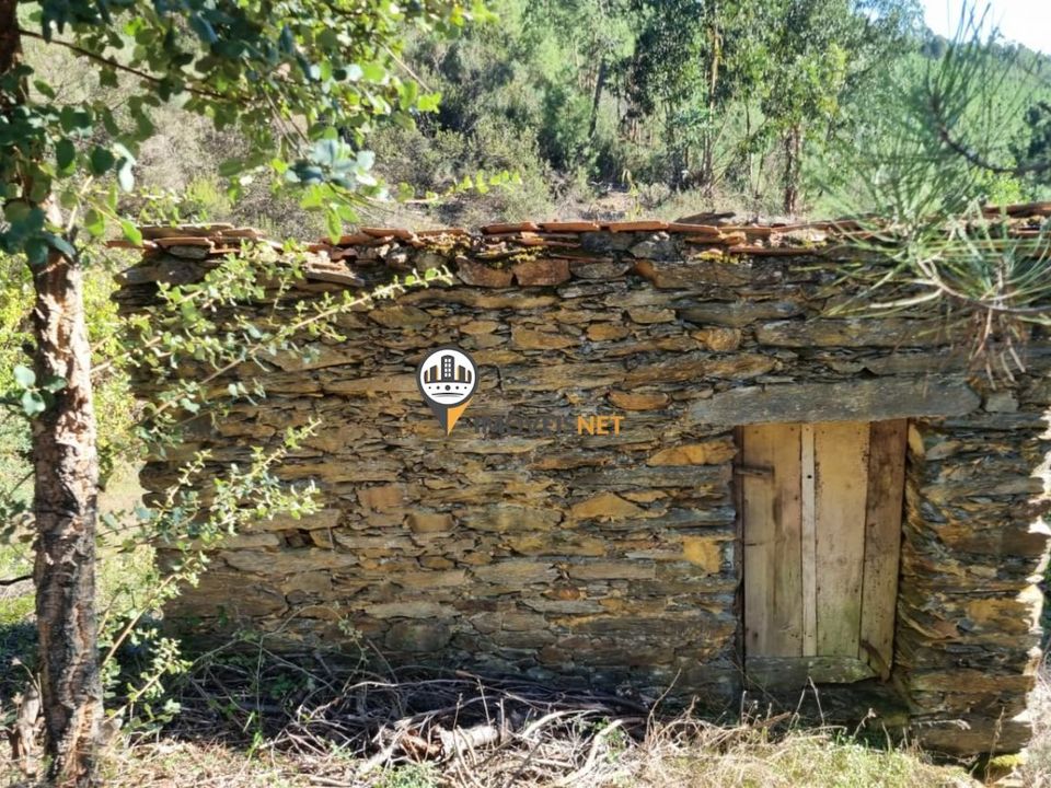 Tomt i Oleiros, Castelo Branco - bilde 3