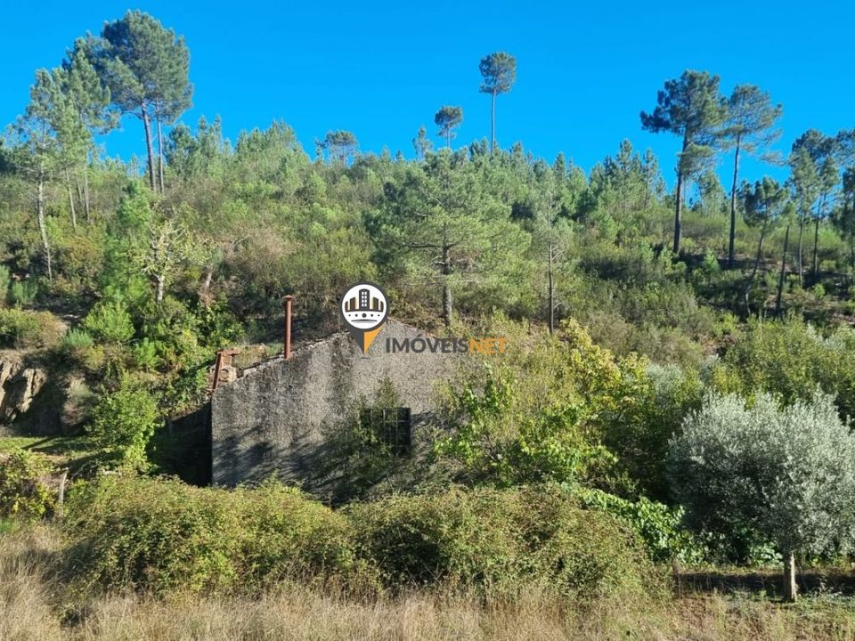 Tomt i Oleiros, Castelo Branco - bilde 1