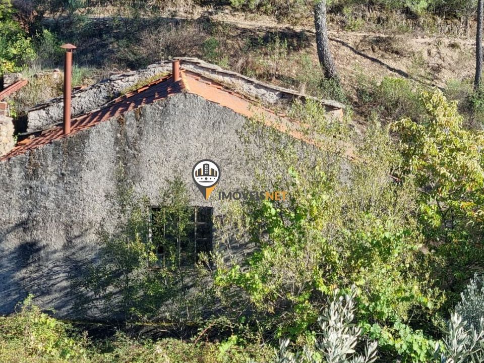 Tomt i Oleiros, Castelo Branco - bilde 2