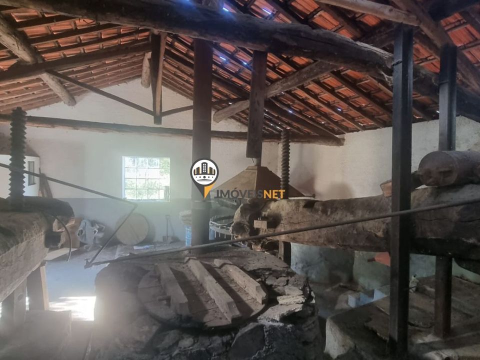 Tomt i Oleiros, Castelo Branco - bilde 3