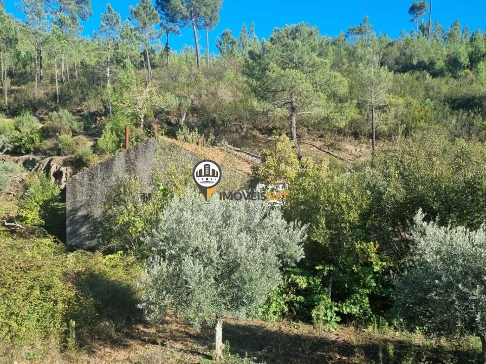 Tomt i Oleiros, Castelo Branco - bilde 5