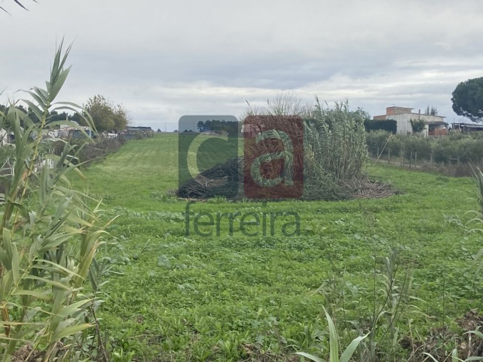 Helårsgrund i Almeirim, Santarem - foto 2