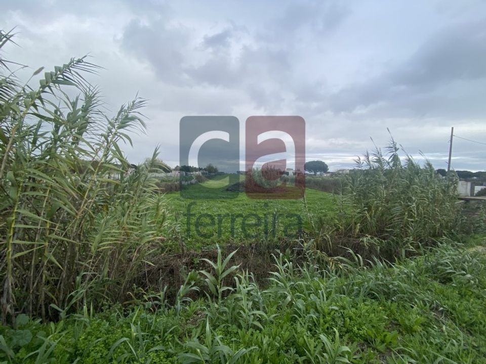 Helårsgrund i Almeirim, Santarem - foto 3