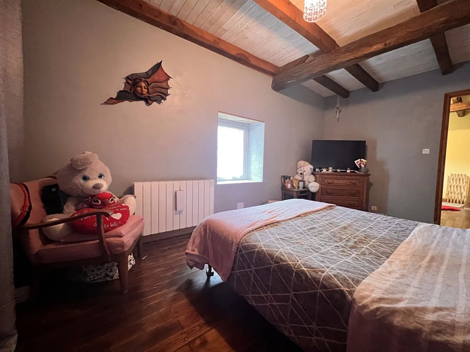 Landsbyhus i Chaunay, Vienne - foto 4